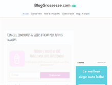 Tablet Screenshot of bloggrossesse.com